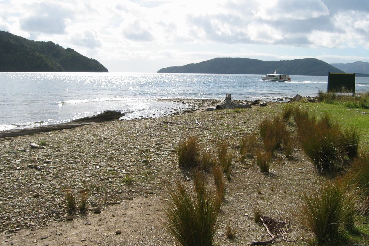 Meretoto / Ship Cove, the northern end of the Queen Charlotte Track, a quiet bay with bush-covered hills